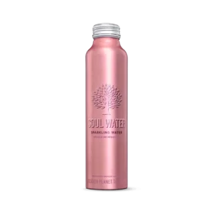 sparkling water bottle product - 500ml