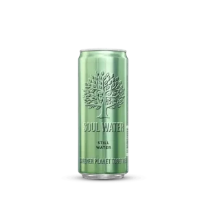 still water can product - 330ml